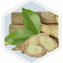 prostavive does it work